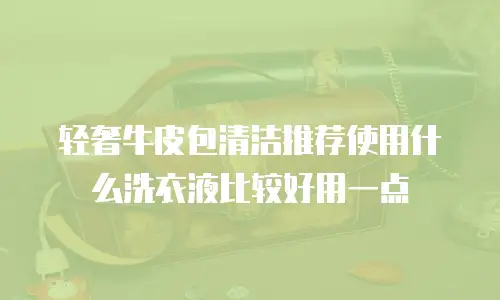 轻奢牛皮包清洁推荐使用什么洗衣液比较好用一点