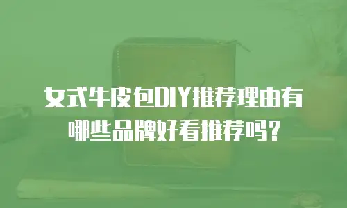 女式牛皮包DIY推荐理由有哪些品牌好看推荐吗？