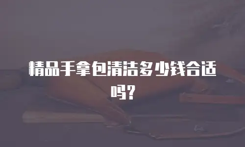 精品手拿包清洁多少钱合适吗？