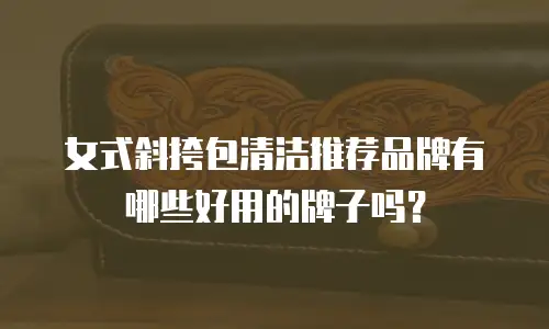 女式斜挎包清洁推荐品牌有哪些好用的牌子吗？