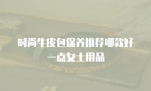 时尚牛皮包保养推荐哪款好一点女士用品