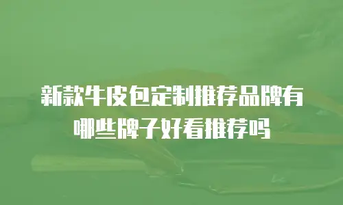 新款牛皮包定制推荐品牌有哪些牌子好看推荐吗
