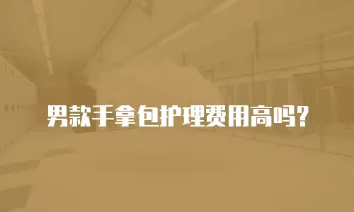 男款手拿包护理费用高吗？