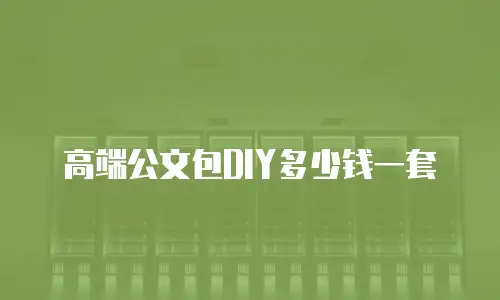 高端公文包DIY多少钱一套