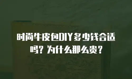 时尚牛皮包DIY多少钱合适吗？为什么那么贵？