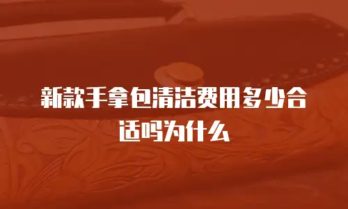 新款手拿包清洁费用多少合适吗为什么