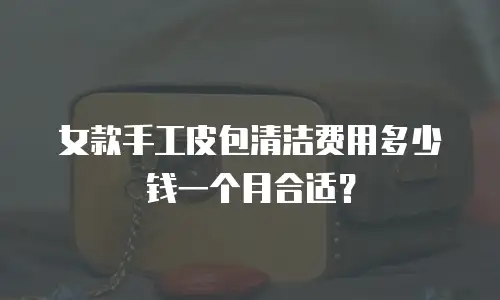 女款手工皮包清洁费用多少钱一个月合适？