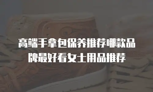 高端手拿包保养推荐哪款品牌最好看女士用品推荐
