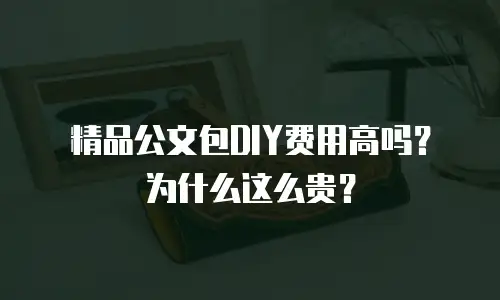 精品公文包DIY费用高吗？为什么这么贵？