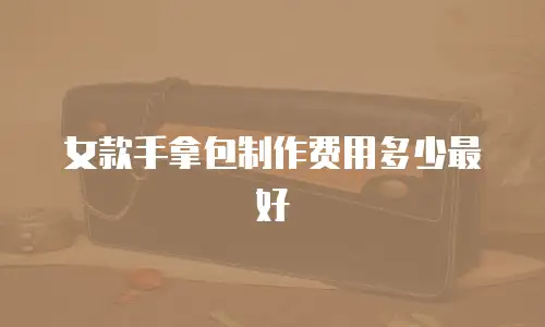 女款手拿包制作费用多少最好