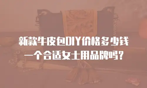 新款牛皮包DIY价格多少钱一个合适女士用品牌吗？