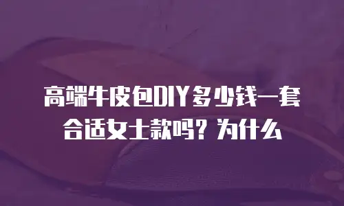 高端牛皮包DIY多少钱一套合适女士款吗？为什么