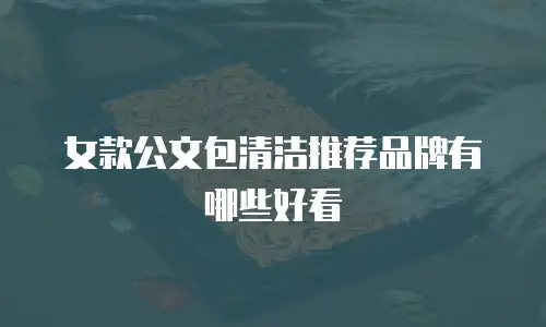 女款公文包清洁推荐品牌有哪些好看