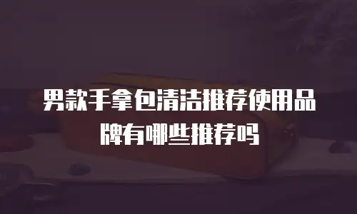 男款手拿包清洁推荐使用品牌有哪些推荐吗