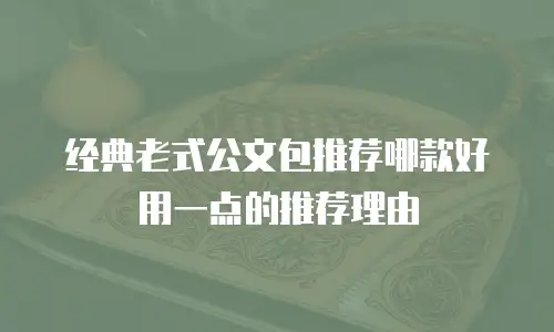 经典老式公文包推荐哪款好用一点的推荐理由