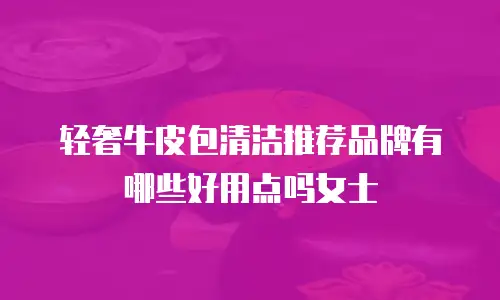 轻奢牛皮包清洁推荐品牌有哪些好用点吗女士