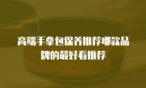高端手拿包保养推荐哪款品牌的最好看推荐