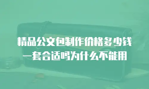 精品公文包制作价格多少钱一套合适吗为什么不能用