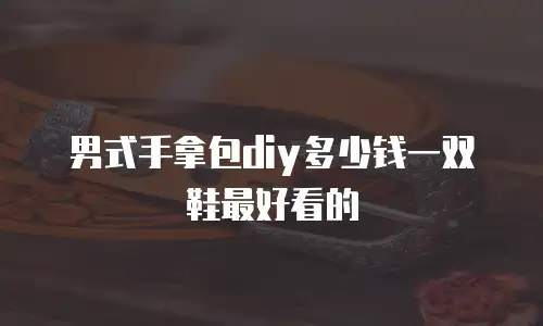 男式手拿包diy多少钱一双鞋最好看的