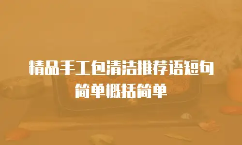 精品手工包清洁推荐语短句简单概括简单