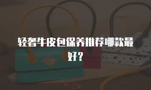 轻奢牛皮包保养推荐哪款最好？