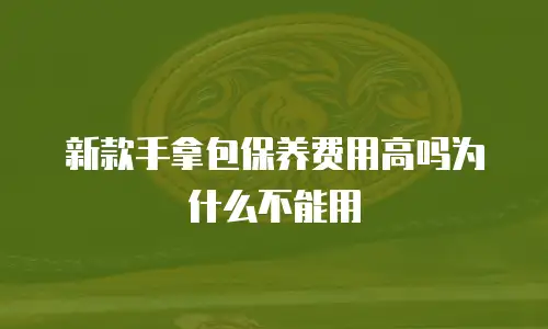 新款手拿包保养费用高吗为什么不能用