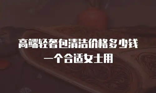 高端轻奢包清洁价格多少钱一个合适女士用