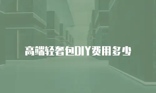高端轻奢包DIY费用多少