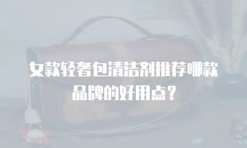 女款轻奢包清洁剂推荐哪款品牌的好用点？