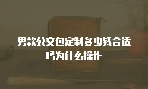 男款公文包定制多少钱合适吗为什么操作