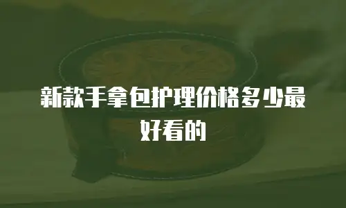 新款手拿包护理价格多少最好看的