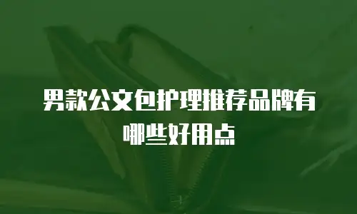 男款公文包护理推荐品牌有哪些好用点