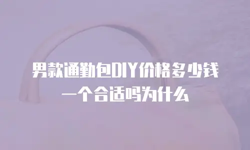 男款通勤包DIY价格多少钱一个合适吗为什么