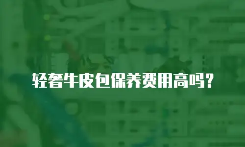 轻奢牛皮包保养费用高吗？