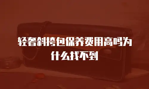 轻奢斜挎包保养费用高吗为什么找不到