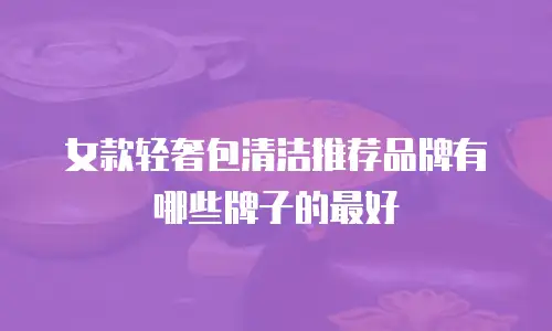 女款轻奢包清洁推荐品牌有哪些牌子的最好