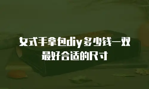 女式手拿包diy多少钱一双最好合适的尺寸