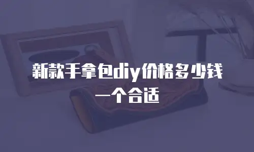 新款手拿包diy价格多少钱一个合适