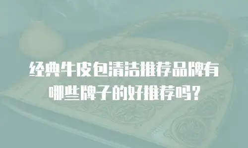 经典牛皮包清洁推荐品牌有哪些牌子的好推荐吗？