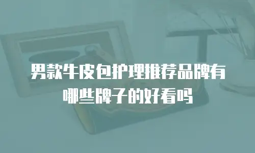 男款牛皮包护理推荐品牌有哪些牌子的好看吗