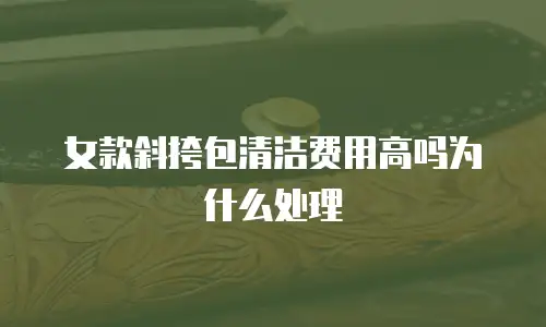 女款斜挎包清洁费用高吗为什么处理