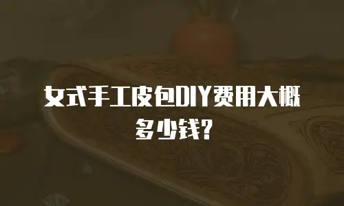 女式手工皮包DIY费用大概多少钱？