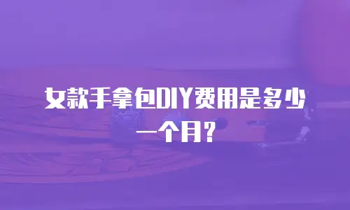 女款手拿包DIY费用是多少一个月？
