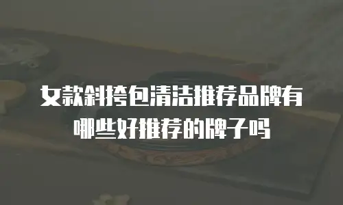 女款斜挎包清洁推荐品牌有哪些好推荐的牌子吗