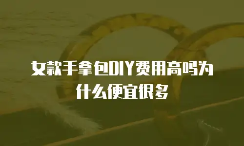 女款手拿包DIY费用高吗为什么便宜很多