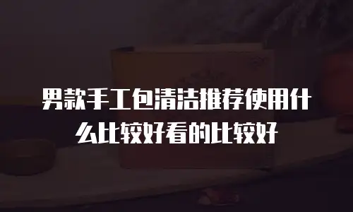 男款手工包清洁推荐使用什么比较好看的比较好