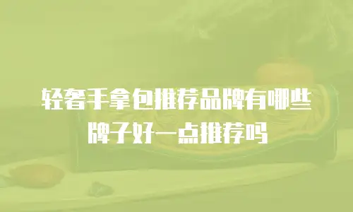 轻奢手拿包推荐品牌有哪些牌子好一点推荐吗