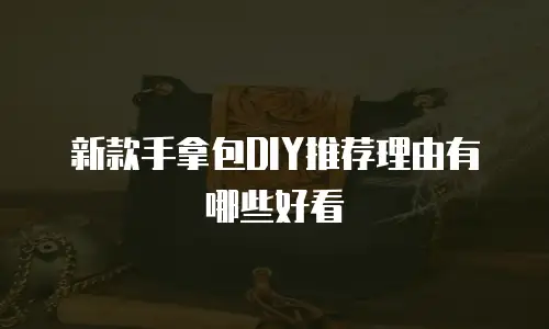 新款手拿包DIY推荐理由有哪些好看