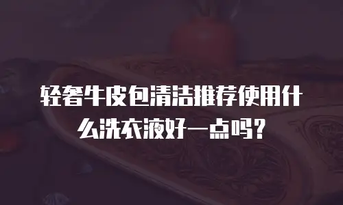 轻奢牛皮包清洁推荐使用什么洗衣液好一点吗？