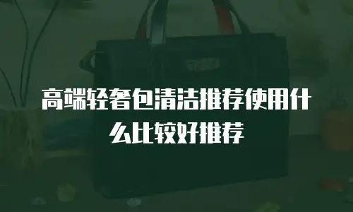 高端轻奢包清洁推荐使用什么比较好推荐